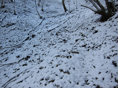 20191129hike (86)